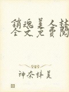 销魂美人林婷婉全文免费阅读小说