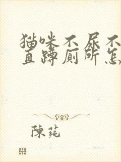 猫咪不尿不拉一直蹲厕所怎么办