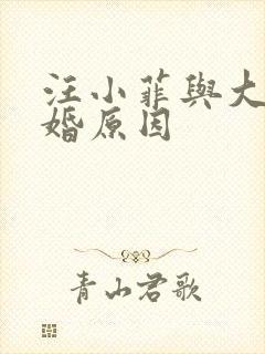 汪小菲与大s离婚原因