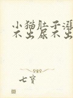 小猫肚子涨大拉不出尿不出来