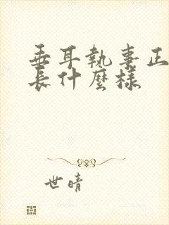 垂耳执事正版书长什么样封面