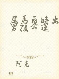 属马酉时出生的男孩命运