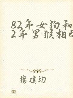 82年女狗和92年男猴相配婚姻如何