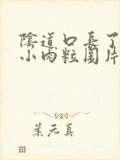 阴道口长了很多小肉粒图片