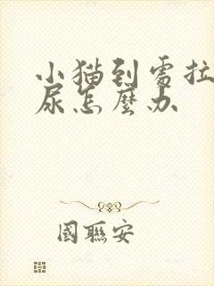 小猫到处拉屎拉尿怎么办