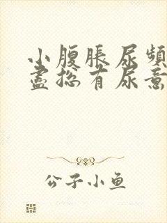 小腹胀尿频尿不尽总有尿意封面