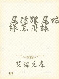 属猪跟属蛇的姻缘怎么样