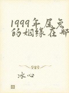 1999年属兔的姻缘在哪年结婚