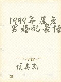 1999年属兔男婚配最佳