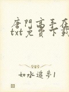 唐门高手在异世txt免费下载封面