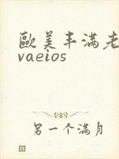 欧美丰满老熟女vaeios
