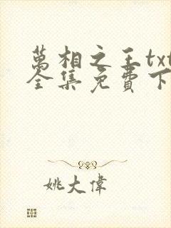 万相之王txt全集免费下载