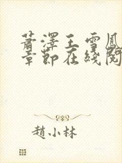 萧泽王雪凤全部章节在线阅读小说