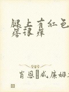 腿上有红色小疙瘩很痒