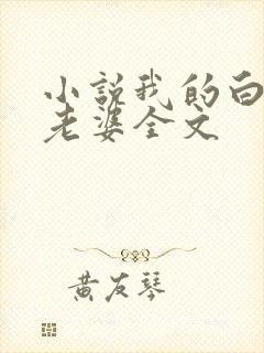 小说我的白富美老婆全文