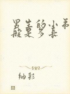 男生的小弟弟一般是多长