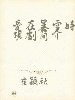 爱在暴雪时分电视剧简介封面