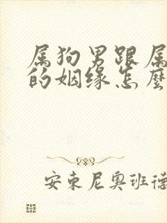 属狗男跟属猴女的姻缘怎么样