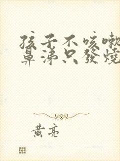 孩子不咳嗽不流鼻涕只发烧