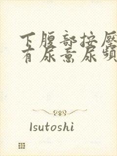 下腹部按压疼痛有尿意尿频