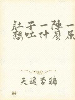 肚子一阵一阵痛想吐什么原因