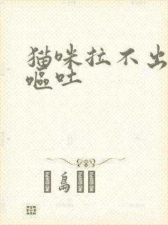 猫咪拉不出尿还呕吐封面