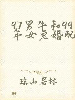 97男牛和99年女兔婚配好不好