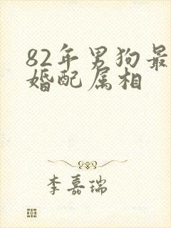 82年男狗最佳婚配属相封面