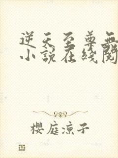 逆天至尊无删减小说在线阅读