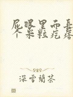 屁眼里面长了一个米粒疙瘩封面