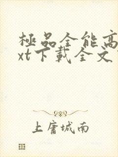 极品全能高手txt下载全文下载