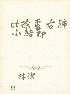 ct检查右肺微小结节