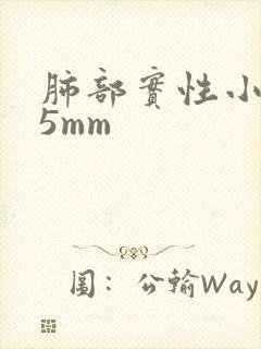 肺部实性小结节5mm