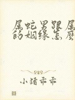 属蛇男跟属兔女的姻缘怎么样呢