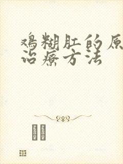 鸡糊肛的原因和治疗方法