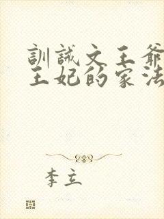 训诫文王爷惩罚王妃的家法封面