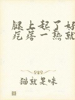 腿上起了好多红疙瘩一热就很痒