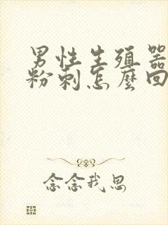 男性生殖器长小粉刺怎么回事