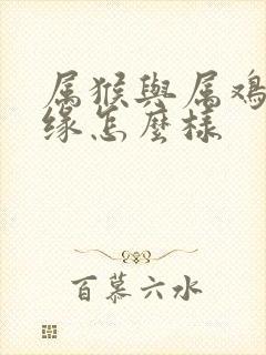 属猴与属鸡的姻缘怎么样