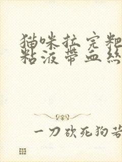 猫咪拉完粑粑有粘液带血丝