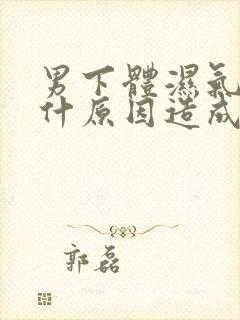 男下体湿气重是什原因造成的封面