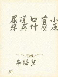 尿道口有小颗粒痒疼什么原因