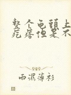 整个龟头上长小疙瘩但是不疼不痒封面