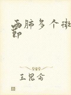 两肺多个微小结节封面