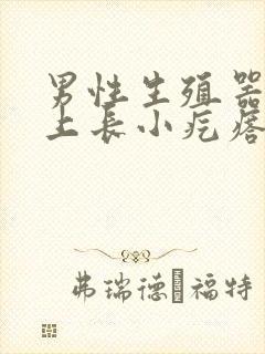 男性生殖器上面上长小疙瘩