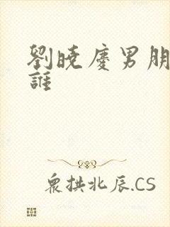 刘晓庆男朋友是谁封面