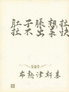 肚子胀想拉屎又拉不出来快速解决