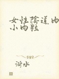 女性阴道内口长小肉粒