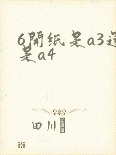 6开纸是a3还是a4