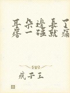 耳朵边长了个疙瘩一碰就痛封面